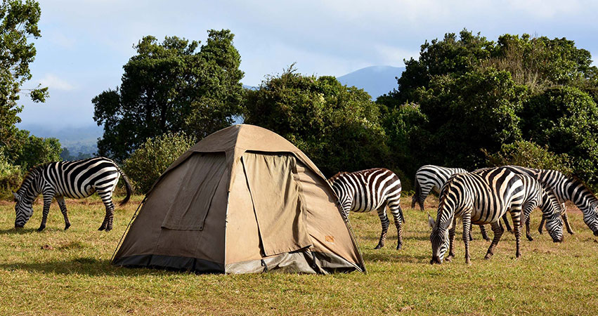 3 Days safari Tanzania Lake Manyara Ngorongoro crater and Tarangire national park :