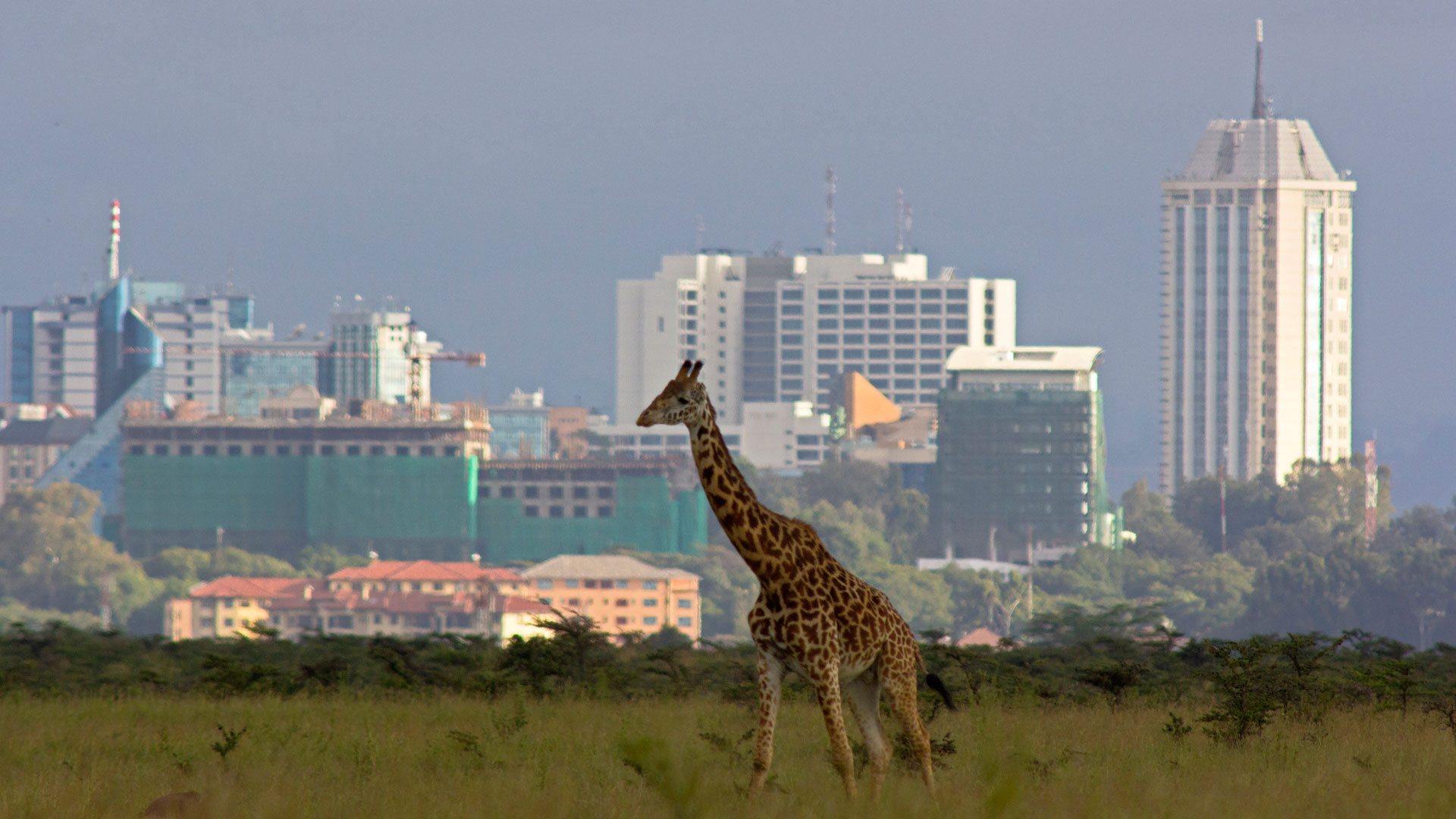 Day 5: Return to Nairobi